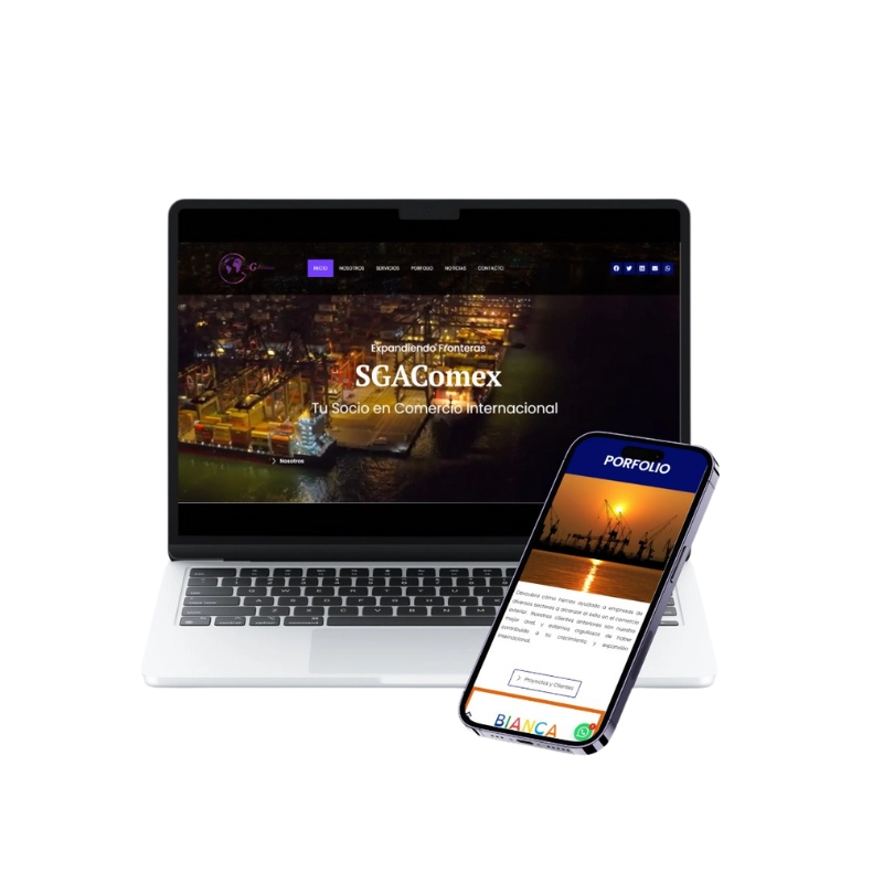 Plataforma para Consultora de Comex